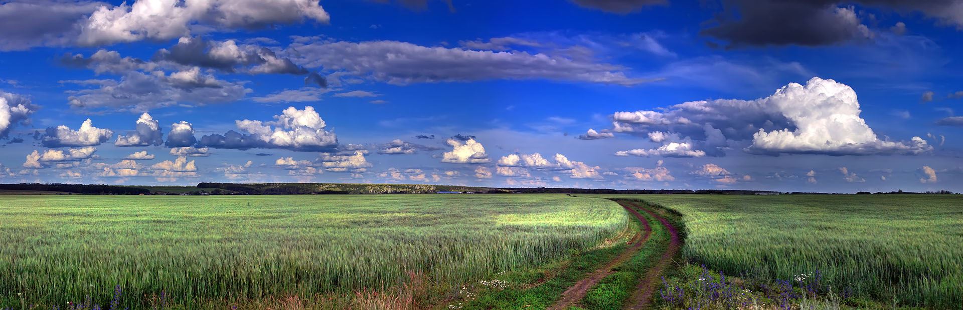 dirt road through a green field with a bright blue sky