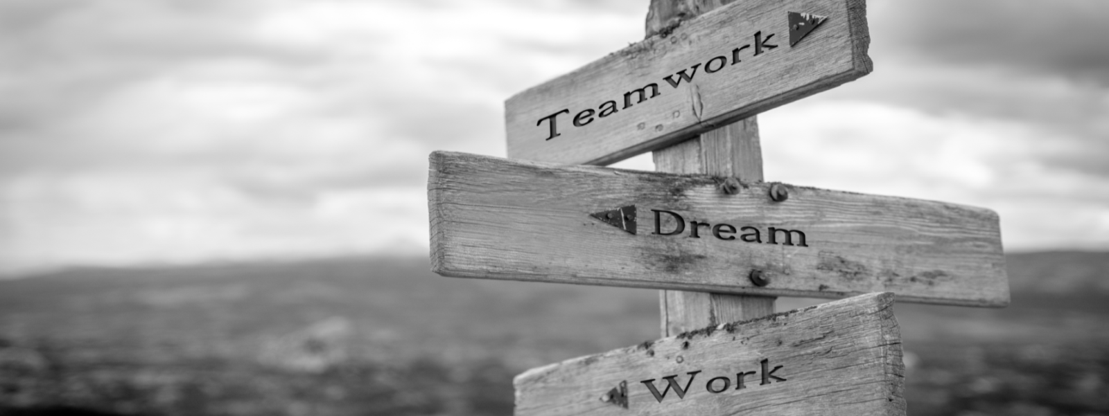 teamwork is dreamwork text quote on wooden signpost outdoors in black and white.