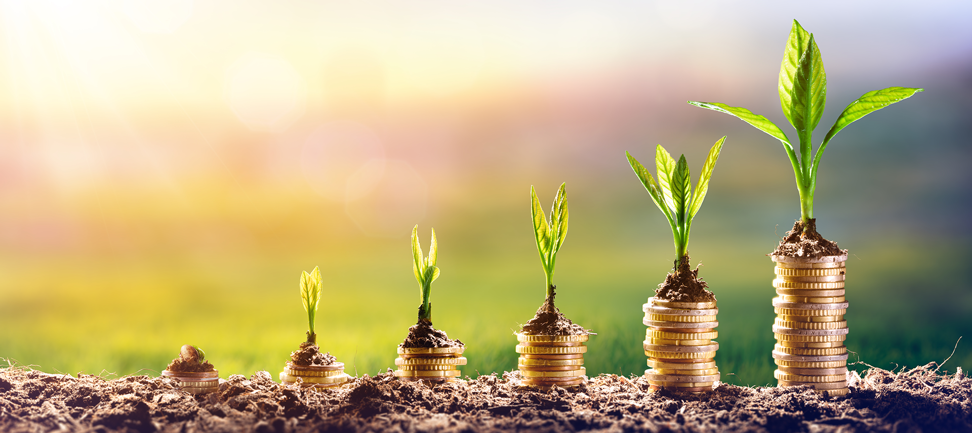 stacked coins with plants growing out of the tops