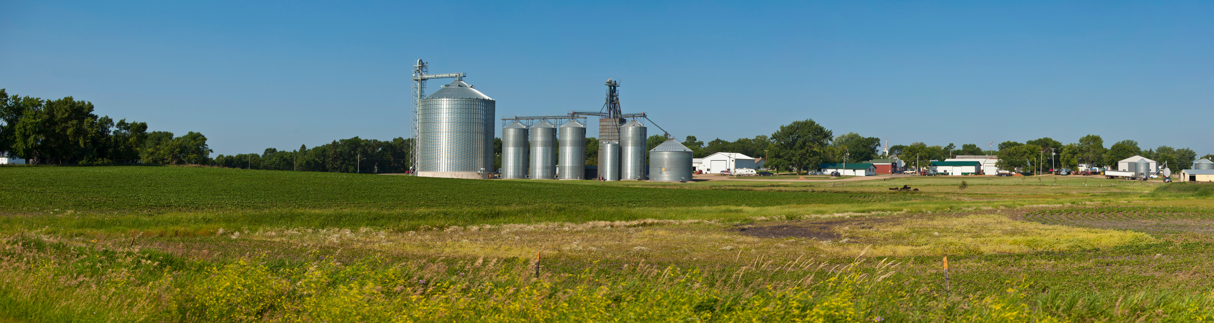 panorama of small town and fields